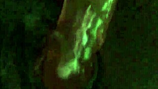 close up ebony pussy hammered by huge dildo till she cums hard homemade
