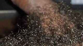 trainer pounds housewife cake