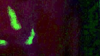 Video Calling Hubby While Playing With Friend's Big Cock