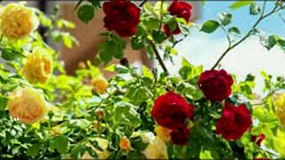 Bangla Wife Fucked by Friend in Romantic Group