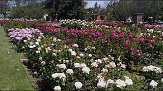 Bangla Wife Fucked by Friend in Romantic Group