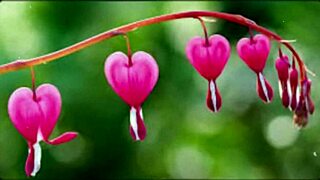 Bangla Wife Fucked by Friend in Romantic Group