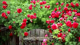 Bangla Wife Fucked by Friend in Romantic Group