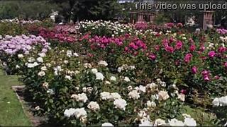 Bangla Wife Fucked by Friend in Romantic Group