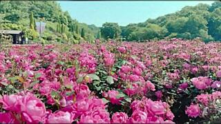 Bangla Wife Fucked by Friend in Romantic Group