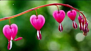 Bangla Wife Fucked by Friend in Romantic Group