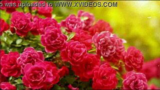 Bangla Wife Fucked by Friend in Romantic Group