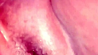 Desi Bhabhi Begs for Cock! Lick My Wet Pussy and Fuck Me Hard Now!