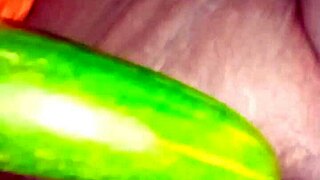 Desi Bhabhi Begs for Cock! Lick My Wet Pussy and Fuck Me Hard Now!