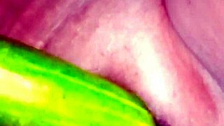 Desi Bhabhi Begs for Cock! Lick My Wet Pussy and Fuck Me Hard Now!