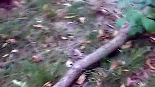 Woods Adventure Hides Wild Public Sucking