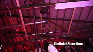 misty stone and sutra fire strip then rip clothes sexy freaks