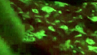 Neighbor's Skirt Peek Leads to Intense Colombian Latina Fuck Session