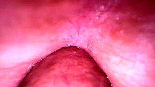 did stepmom's huge ass tempt stepson to fuck all her holes?