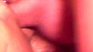 Audrey Hollander Sucks Rick and Trevor While Licking Trina's Big Clit