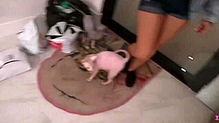 Big Dick Rich Guy Teddy Tarantino Picks Up Big Titty Night School Slut