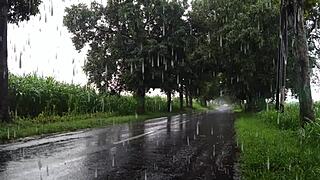 mom bent over wet pussy stuffed by huge cock deep in forest