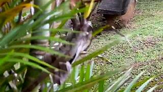 Handyman spies on busty blonde wife masturbating solo by the riverbank