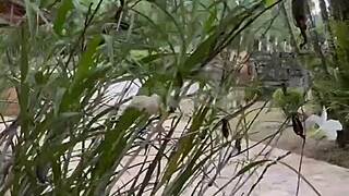 Handyman spies on busty blonde wife masturbating solo by the riverbank
