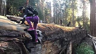 giant sequoias hide our public pov pounding session