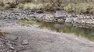 i film my natural tits outdoors in argentina amateur style
