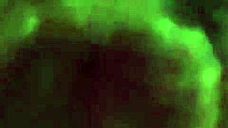 um video de foda com zoom na buceta