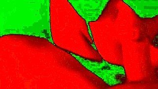 hot girl gives slow sexy blowjob up close