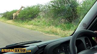 did the african teen with big ass enjoy rough safari sex with friend