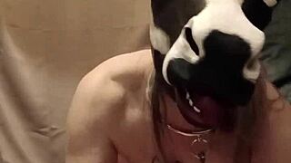 Mijn Franse slaaf vernederd met anaal speelgoed en harde spanking