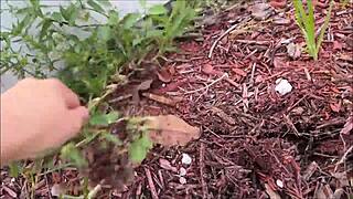 Blonde salope suce bite puis baise