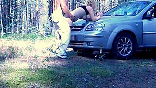 Forest Holiday Outdoor Retreat in Nature Wilderness